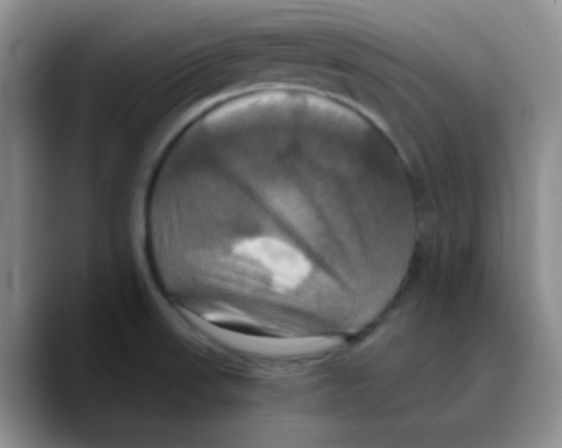 X0000089731523200707201830