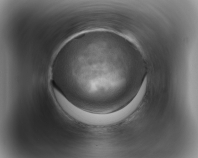 X0000089731524200707201831