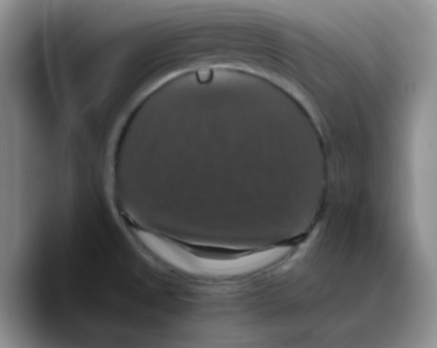 X0000089731525200707201831