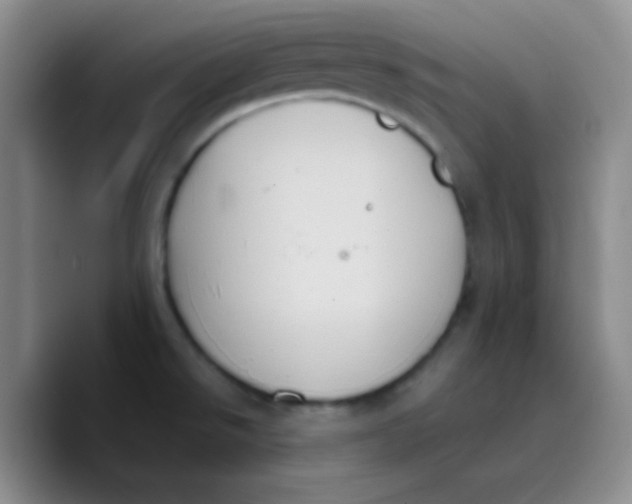X0000089731526200707201831