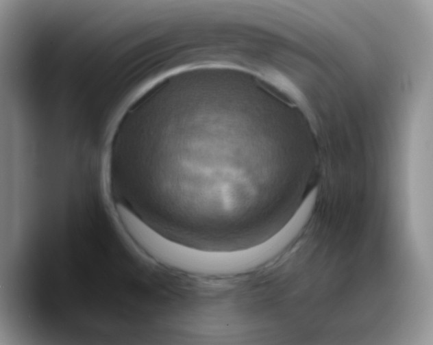 X0000089731528200707201831