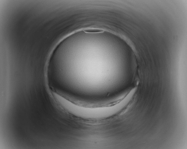 X0000089731530200707201831