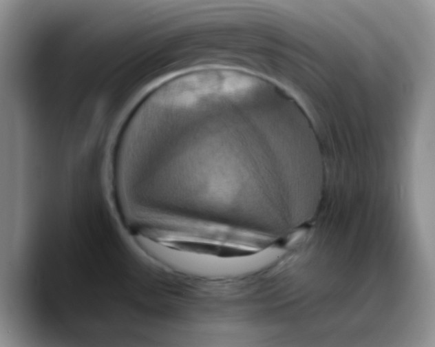 X0000089731531200707201831