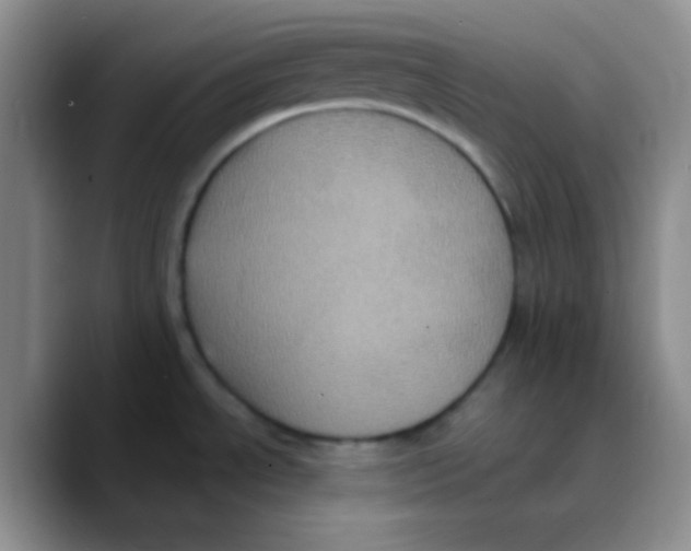 X0000089731534200707201831