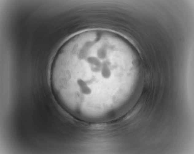 X0000089731535200707201831