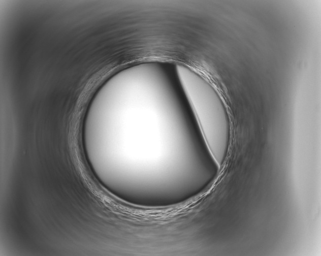 X0000089740001200706210913
