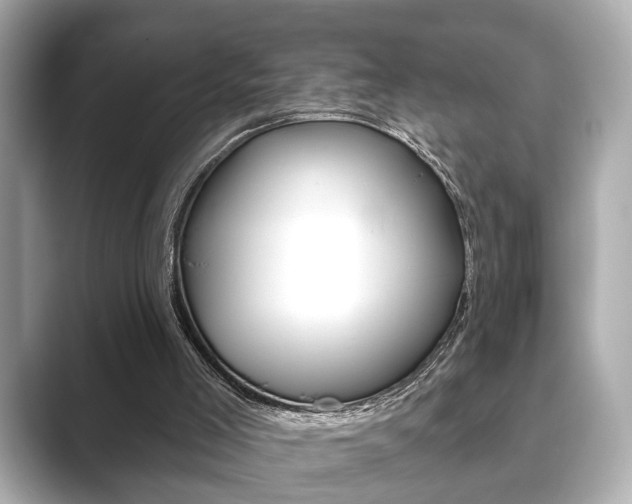 X0000089740005200706210913