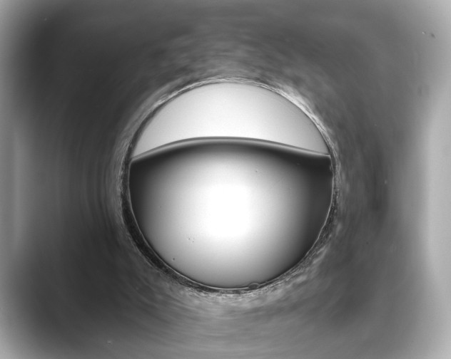 X0000089740007200706210913