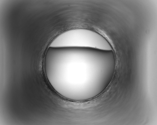 X0000089740010200706210913