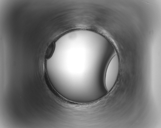 X0000089740011200706210913