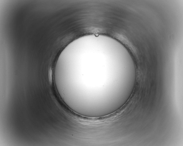 X0000089740014200706210913
