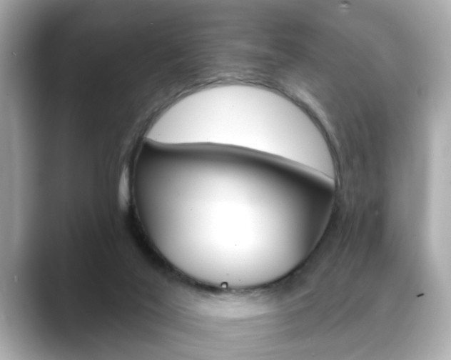 X0000089740020200706210913