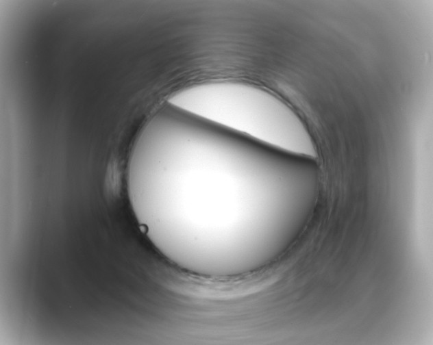 X0000089740026200706210913