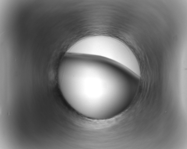 X0000089740031200706210913