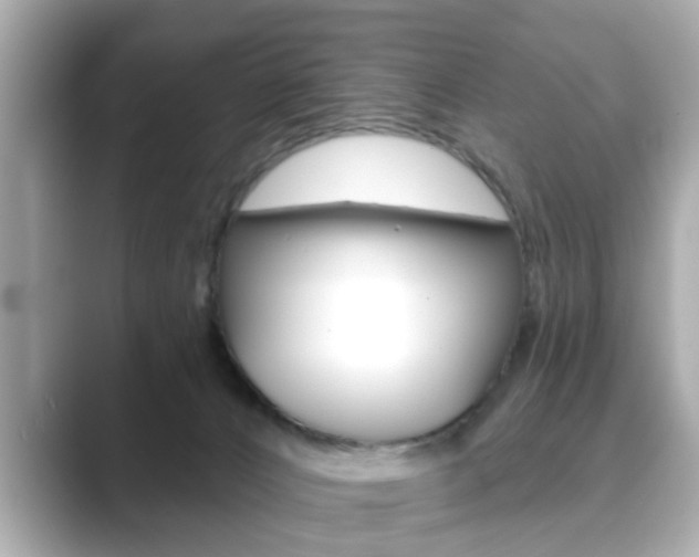 X0000089740032200706210913