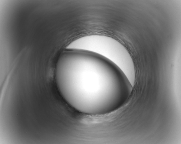 X0000089740033200706210913