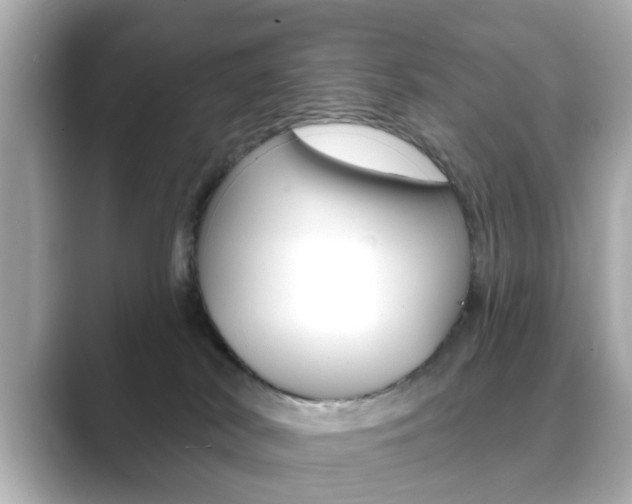 X0000089740038200706210913