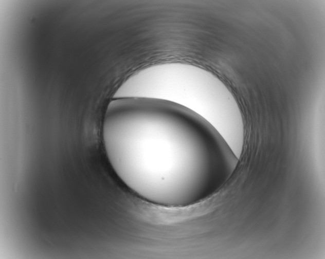 X0000089740039200706210913