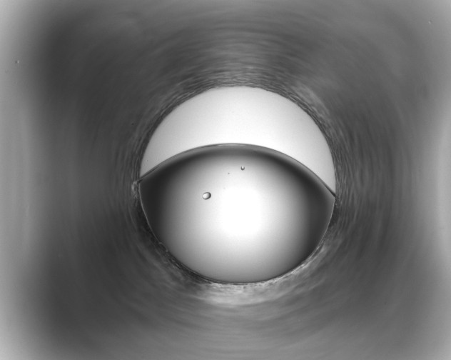 X0000089740045200706210912