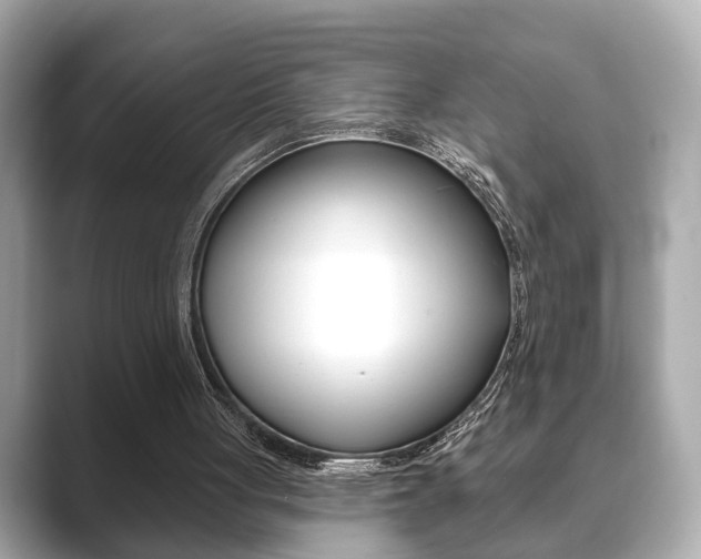 X0000089740051200706210912