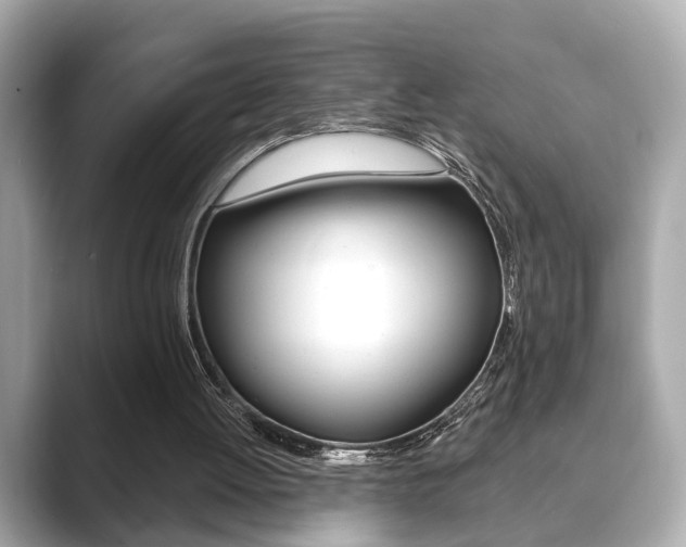 X0000089740052200706210912