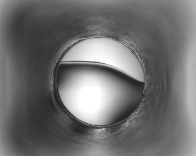 X0000089740054200706210912