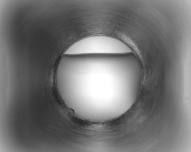 X0000089740065200706210912