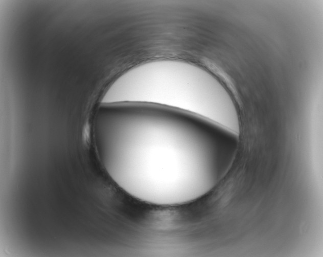 X0000089740067200706210912