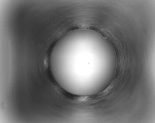 X0000089740090200706210912