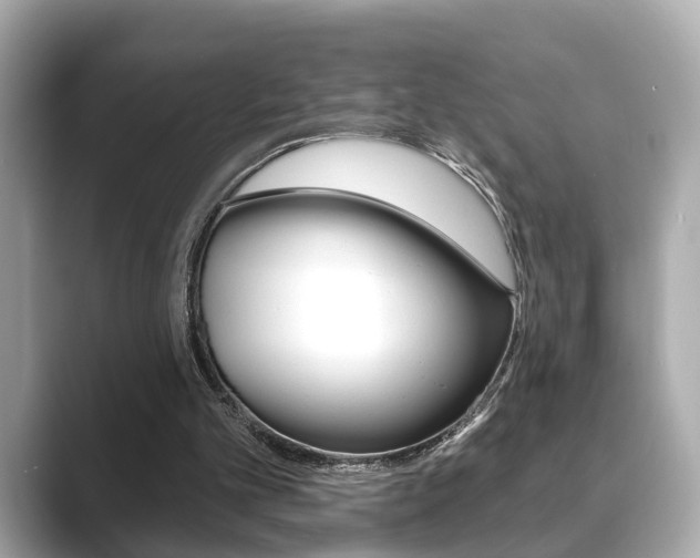 X0000089740101200706210912