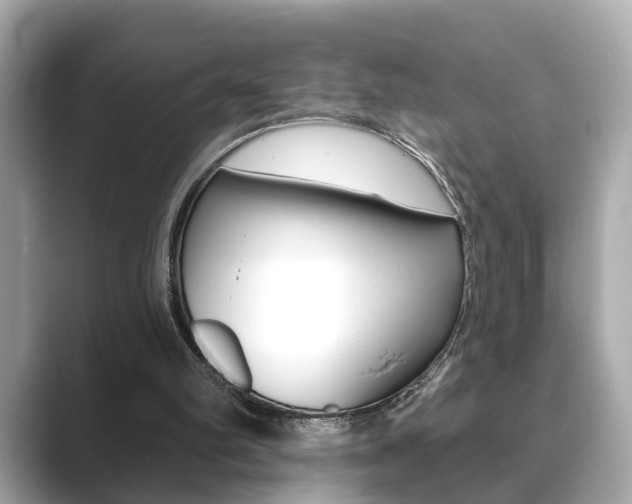 X0000089740102200706210912