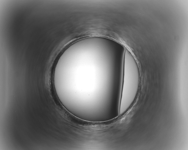 X0000089740103200706210912