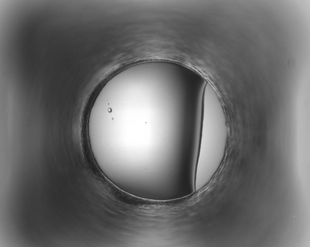 X0000089740104200706210912