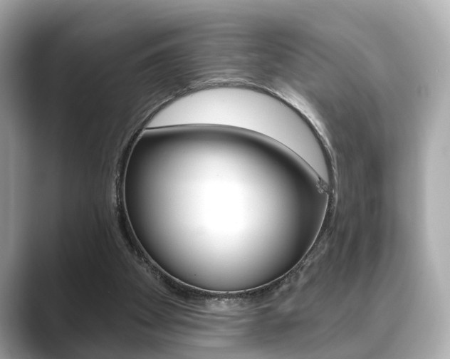X0000089740105200706210912