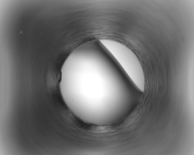 X0000089740129200706210911