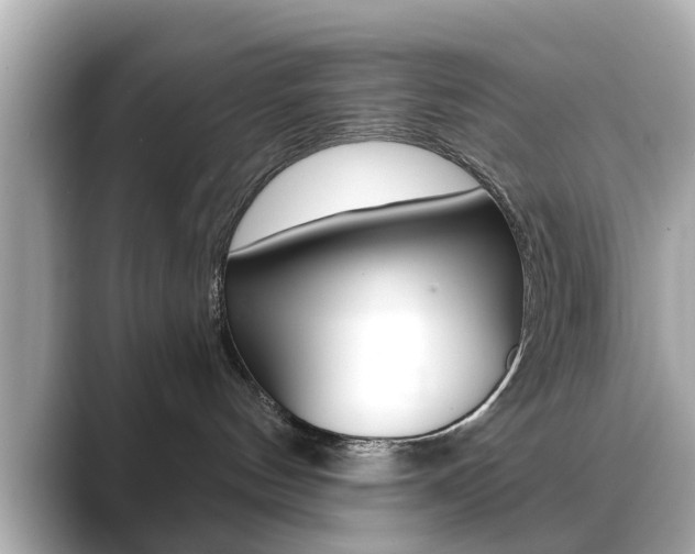 X0000089740144200706210911