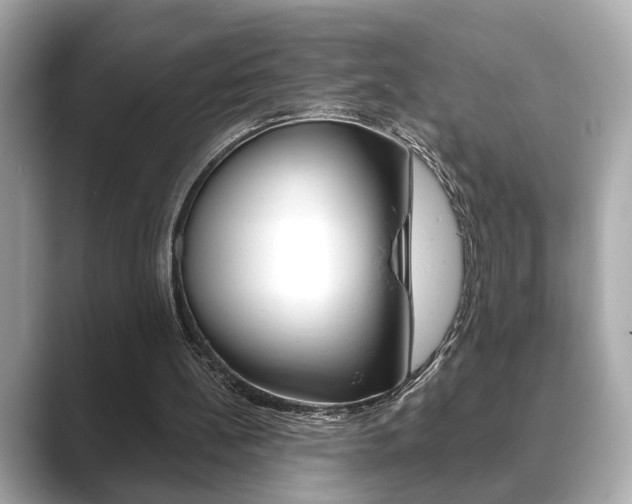 X0000089740148200706210911