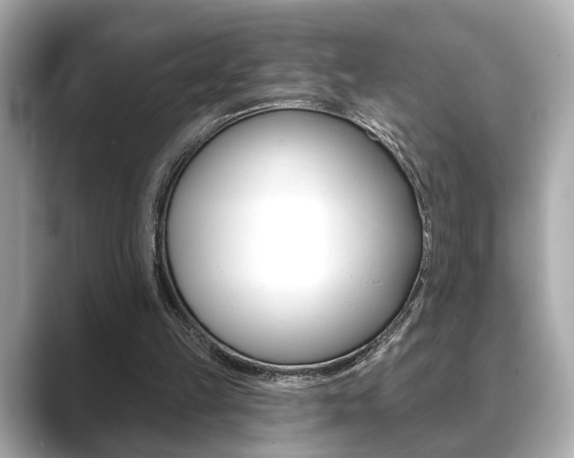 X0000089740149200706210911