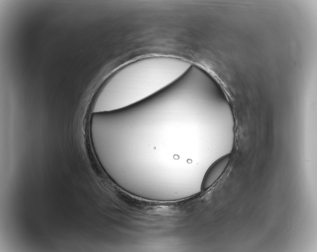 X0000089740151200706210911