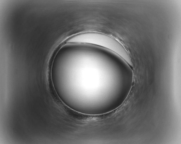 X0000089740152200706210911