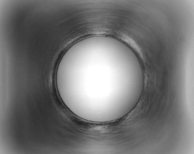 X0000089740155200706210911