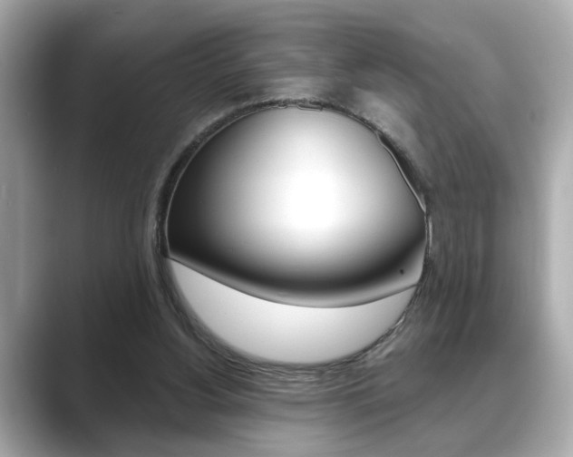 X0000089740156200706210911