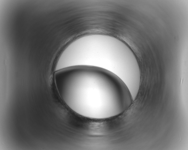 X0000089740160200706210911