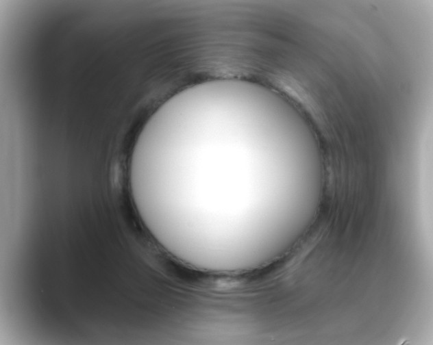 X0000089740165200706210911
