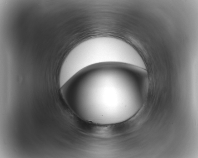 X0000089740170200706210911