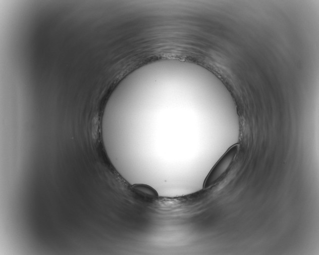 X0000089740189200706210911