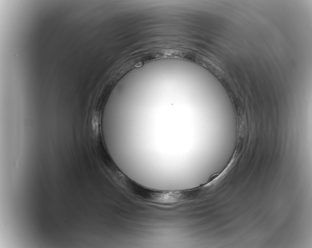 X0000089740191200706210911