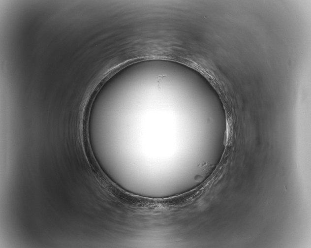 X0000089740195200706210911