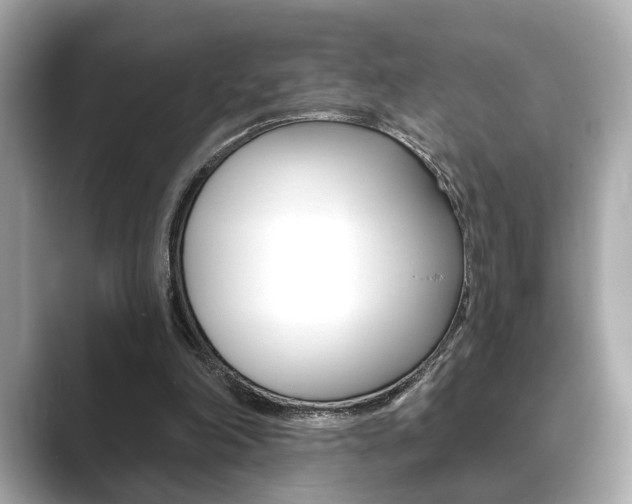 X0000089740198200706210910