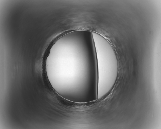 X0000089740200200706210910